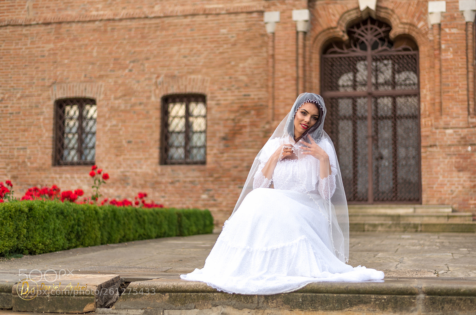 Nikon D750 sample photo. Untitled photography
