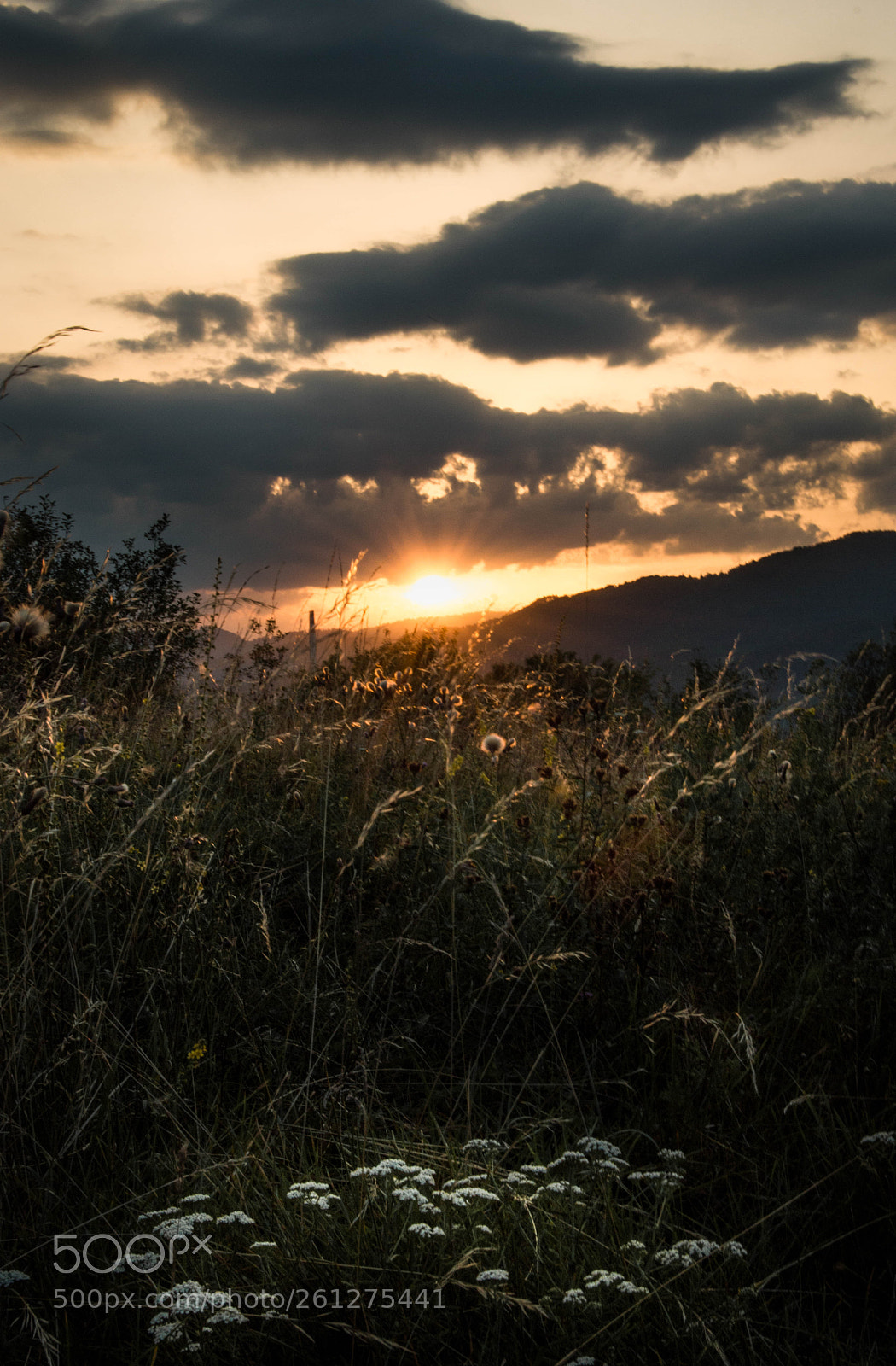 Nikon D3200 sample photo. Sunset photography