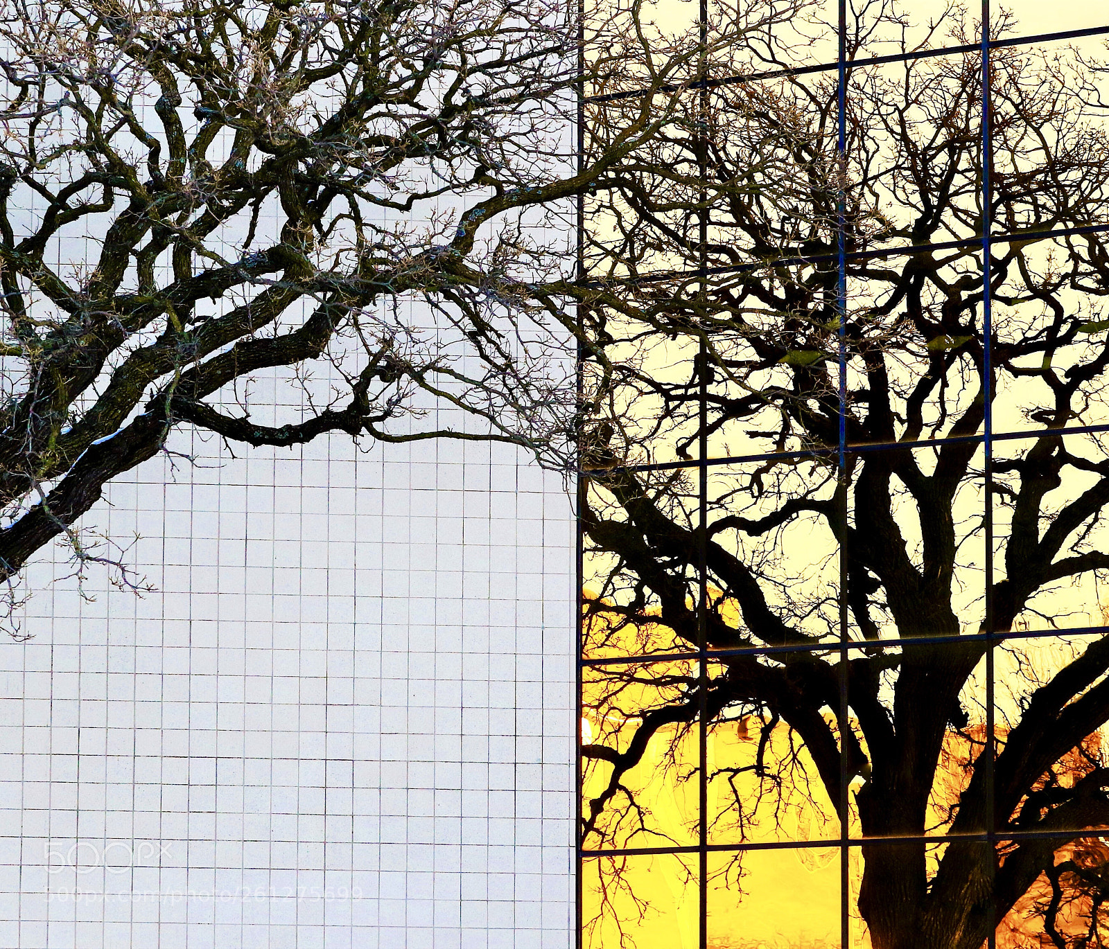 Canon EOS 7D Mark II sample photo. Reflection photography