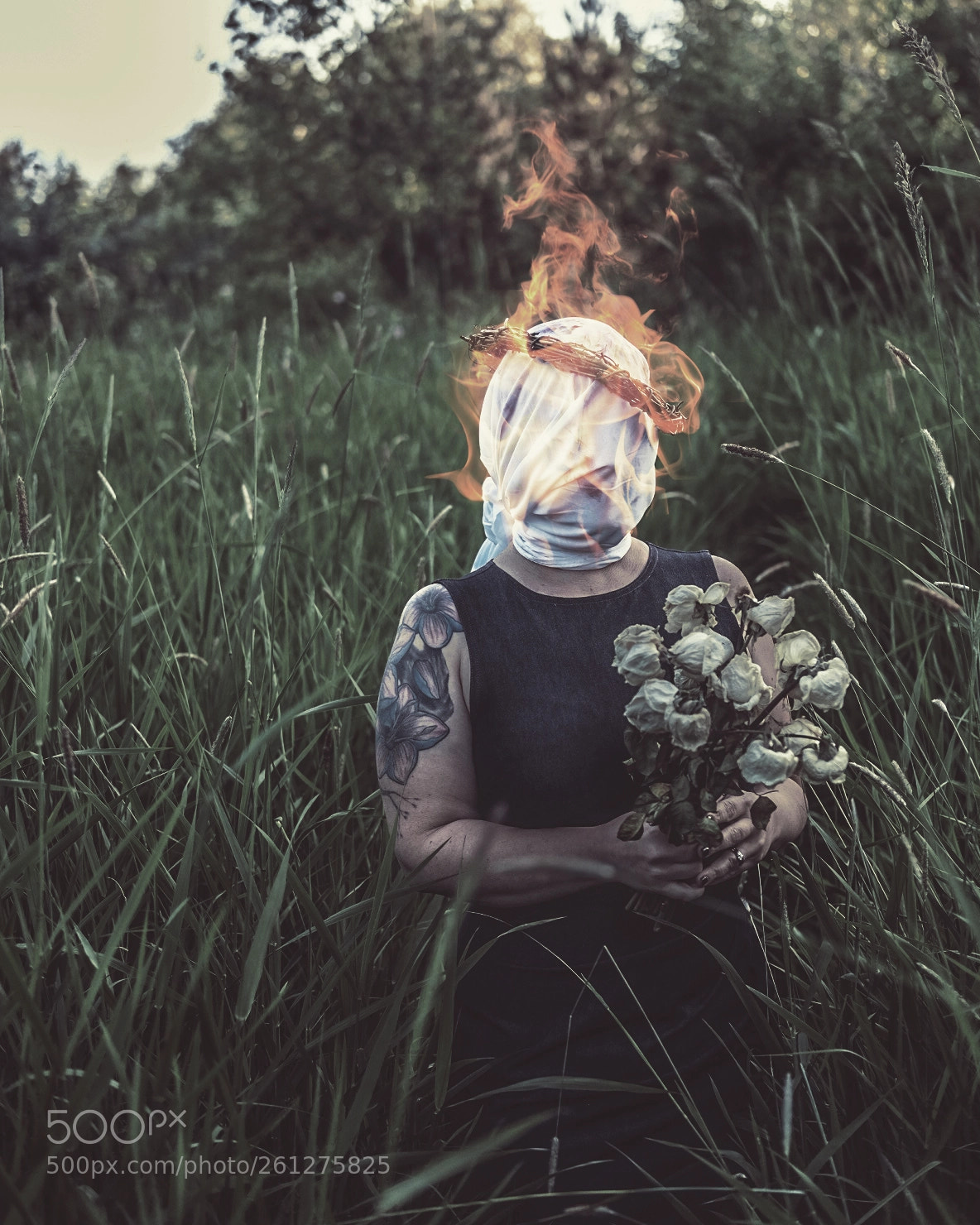 Fujifilm X-T1 sample photo. The burning fields photography