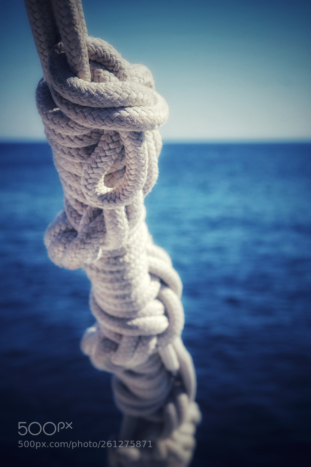 Canon EOS 60D sample photo. Knot photography