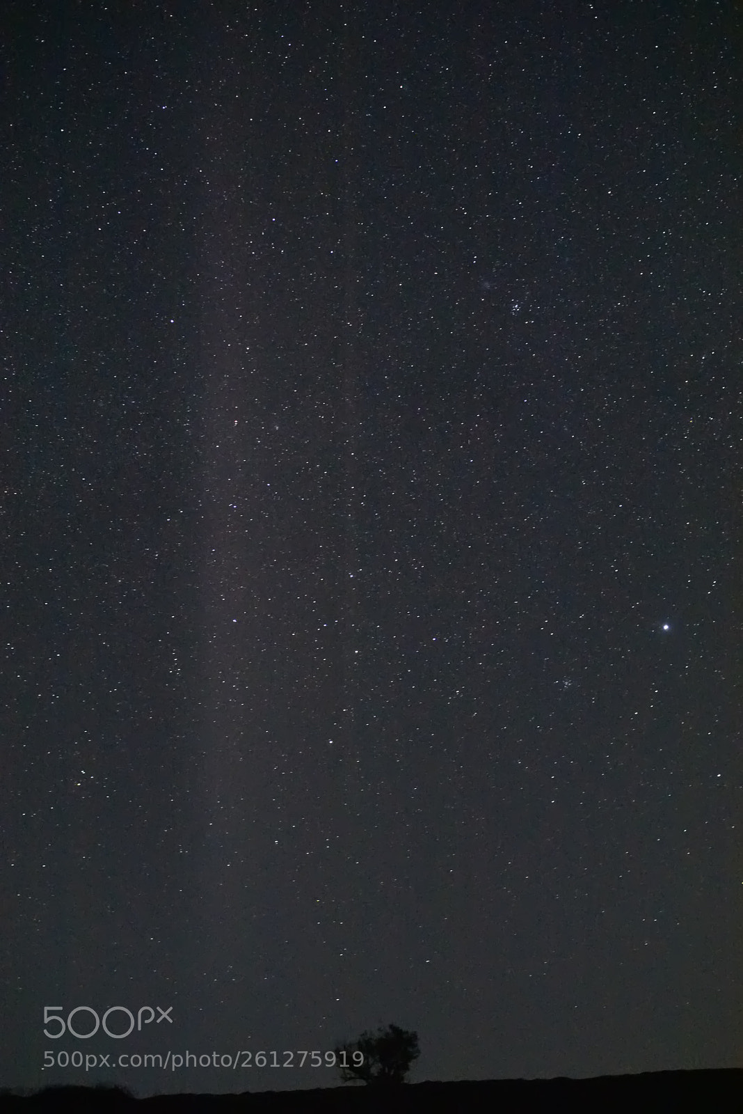 Nikon D810 sample photo. () photography