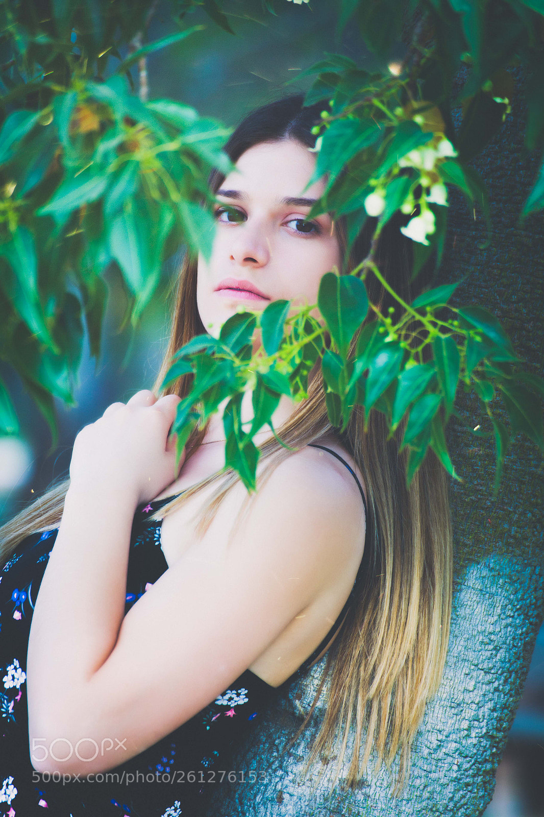Canon EOS 6D sample photo. Dream photography