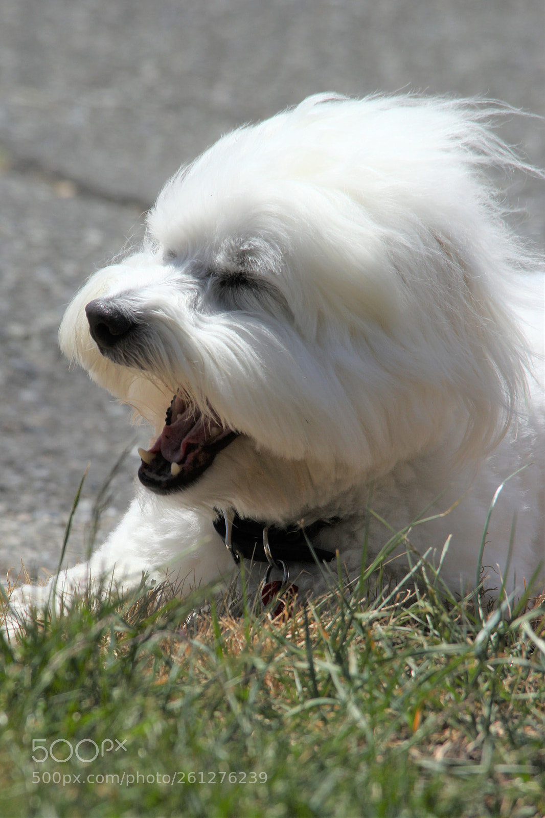 Canon EOS 60D sample photo. Feels so good! photography