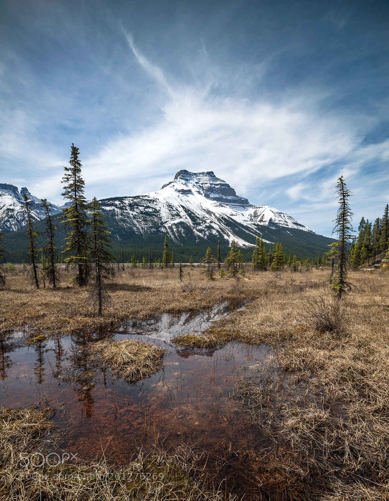 Nikon D610 sample photo. Mt amery photography