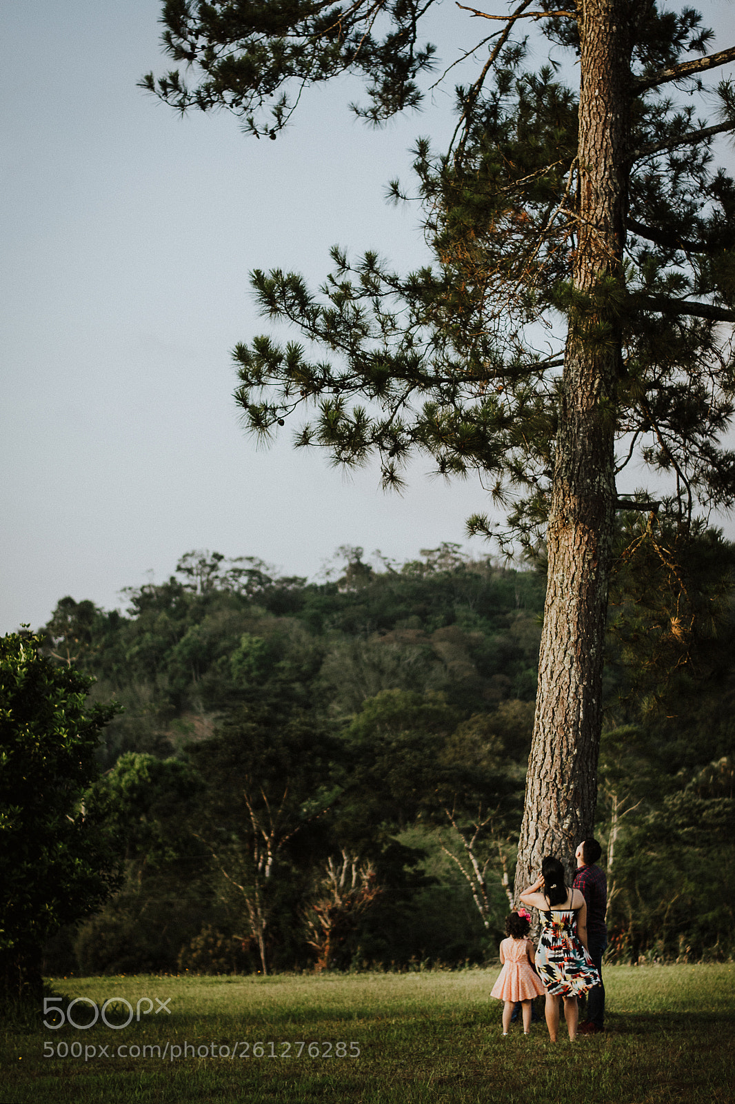 Nikon D5300 sample photo. Family in love photography