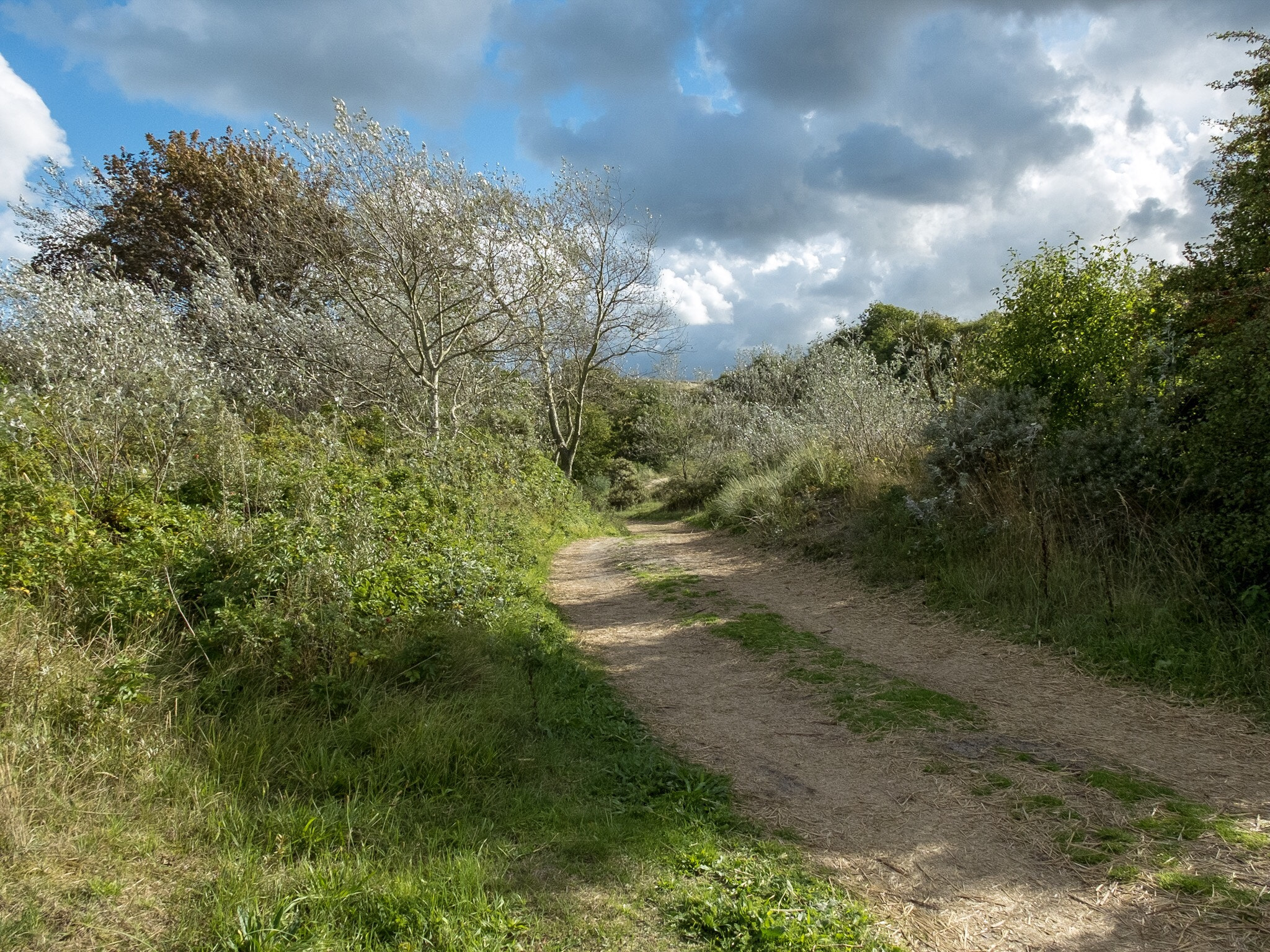 Fujifilm X20 sample photo. Landscape  photography