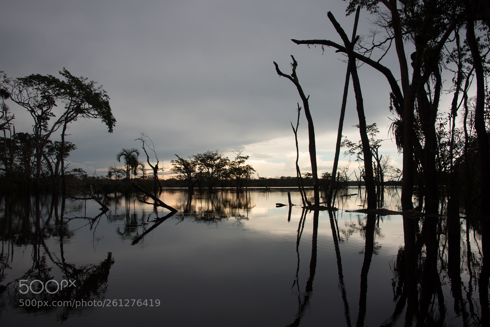 Nikon D750 sample photo. Amazon - igarapé xixuaú photography
