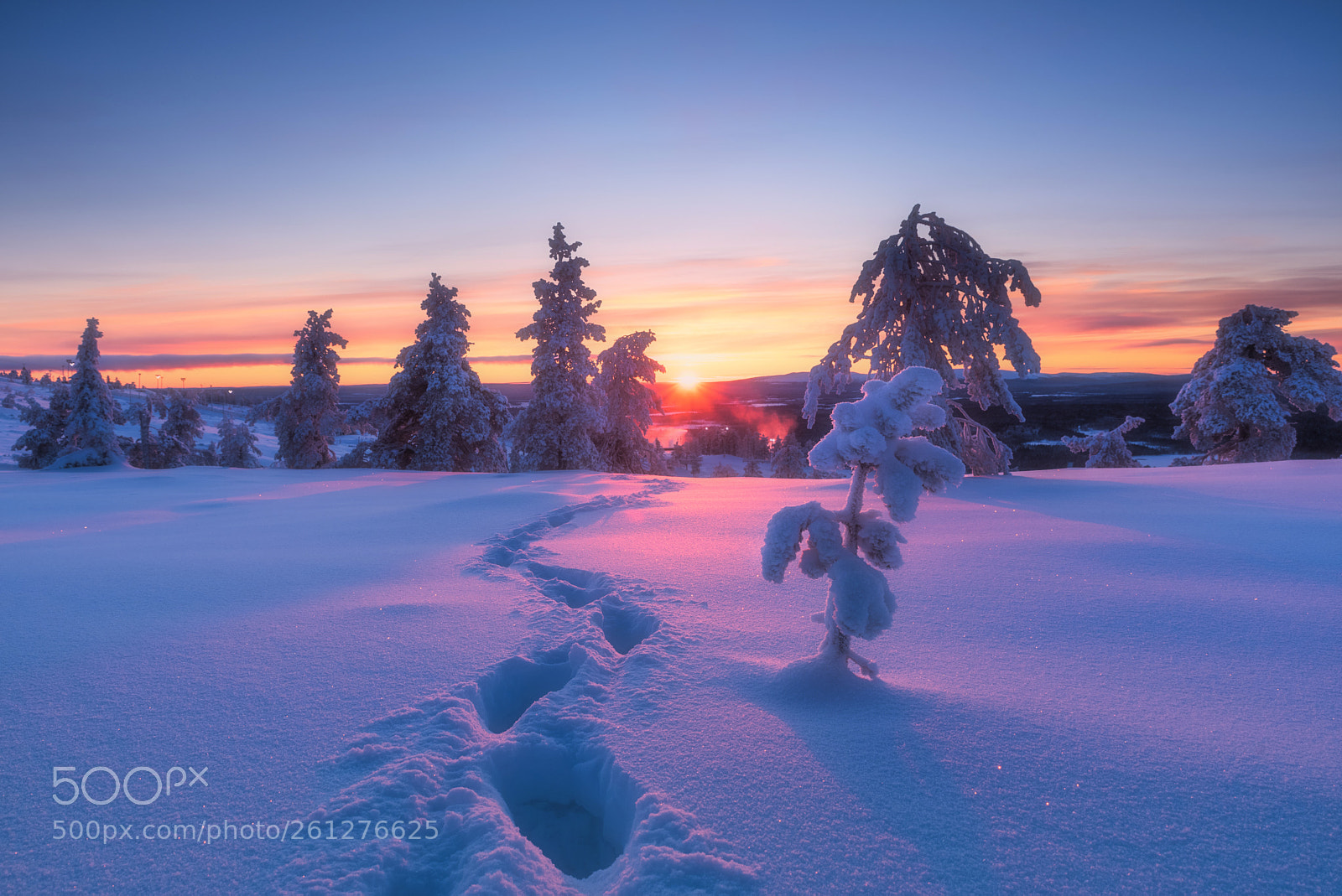 Nikon D750 sample photo. Sunset in lapland photography