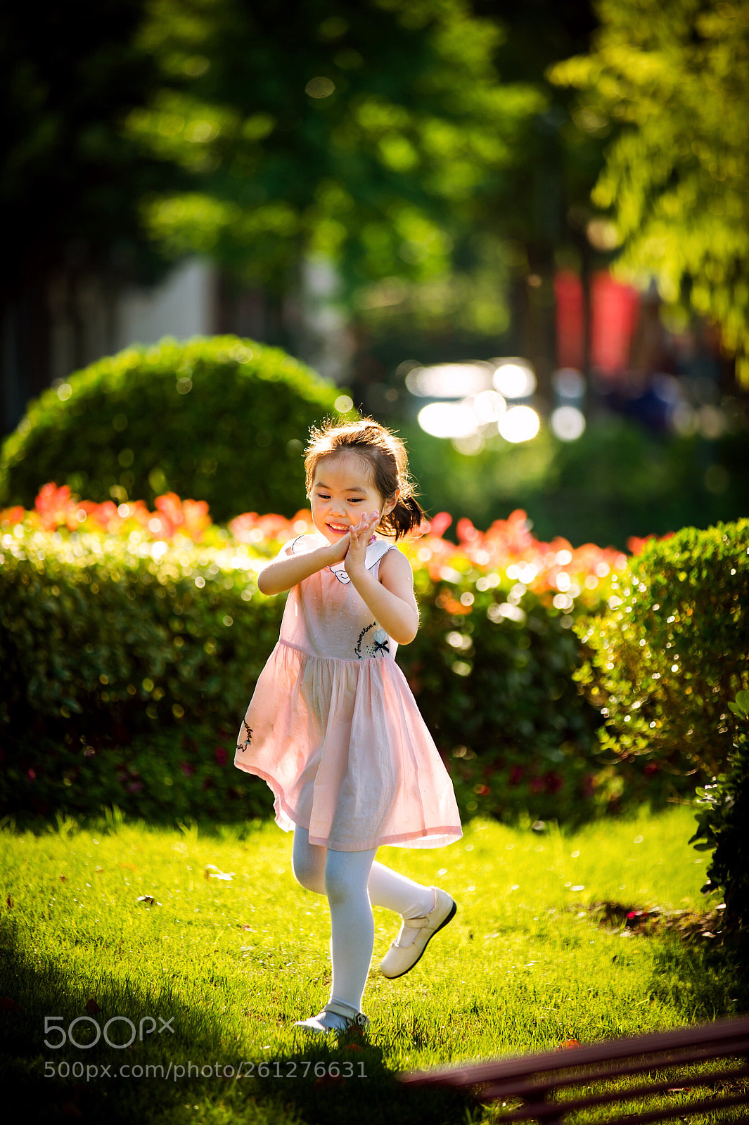 Nikon D3S sample photo. Untitled photography