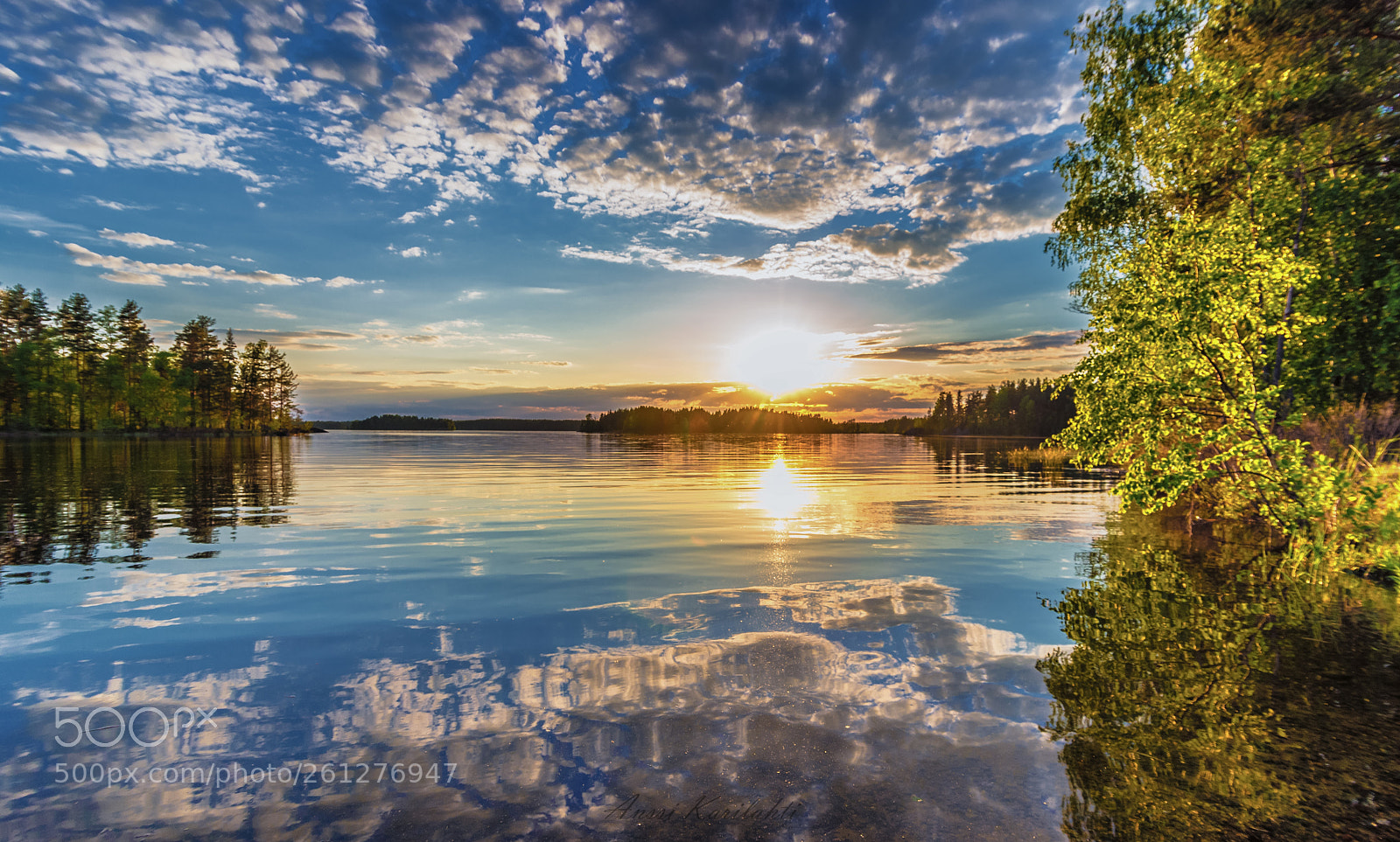 Nikon D600 sample photo. Sun reflections photography