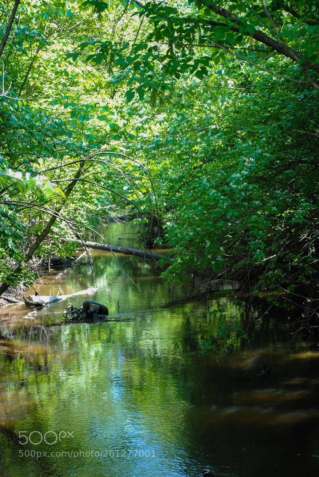 Nikon D3000 sample photo. A seat in the photography