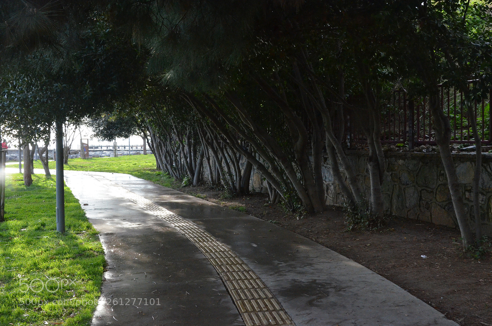 Nikon D7000 sample photo. . photography