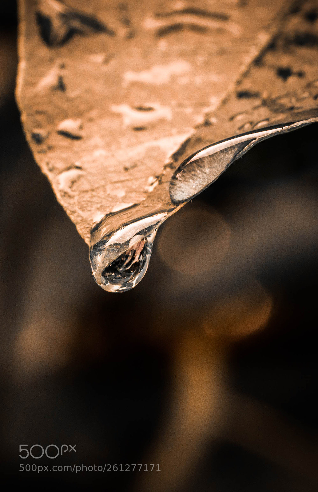 Nikon D3200 sample photo. Water drops photography