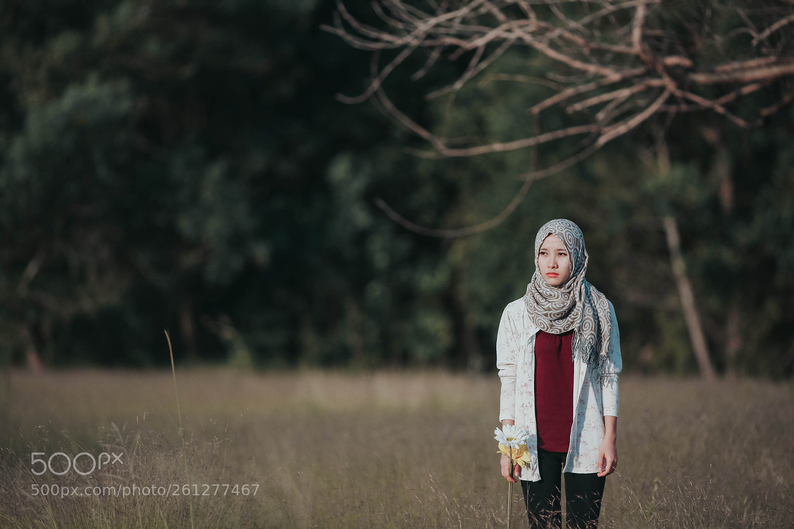 Canon EOS 5D Mark II sample photo. Untitled photography