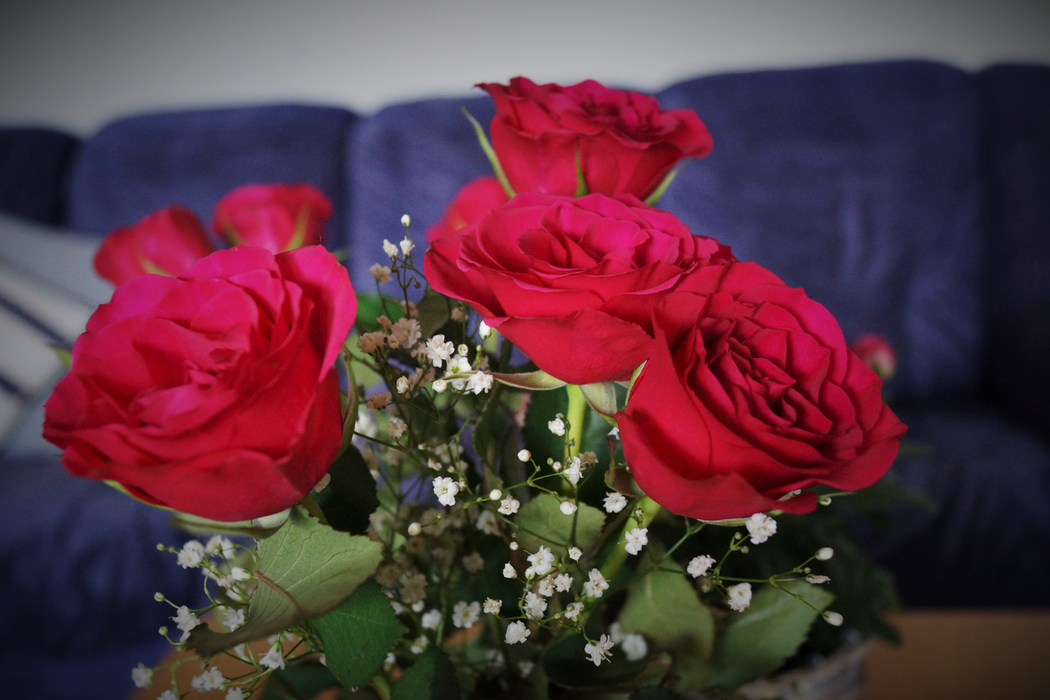 Sony SLT-A65 (SLT-A65V) sample photo. Rose photography