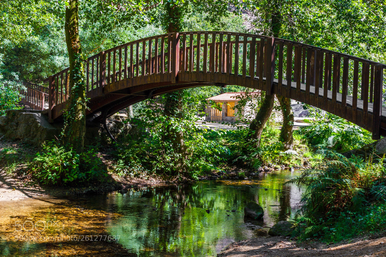 Canon EOS 600D (Rebel EOS T3i / EOS Kiss X5) sample photo. Wooden bridge photography