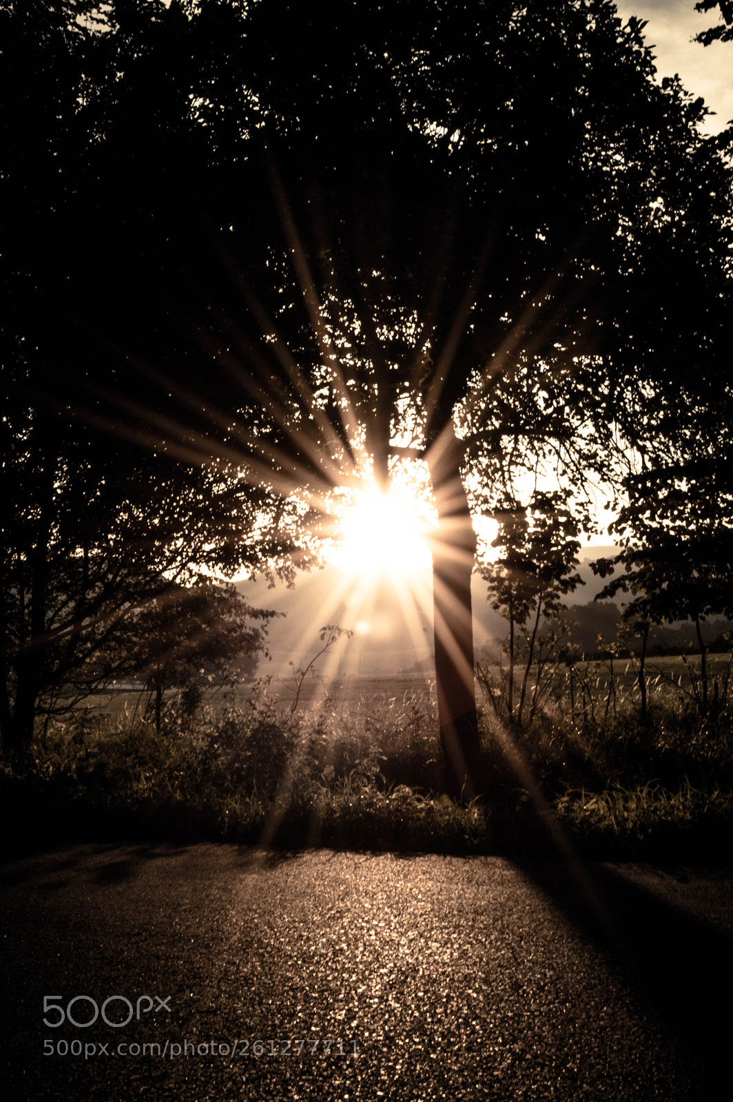 Nikon D3200 sample photo. Sunset photography
