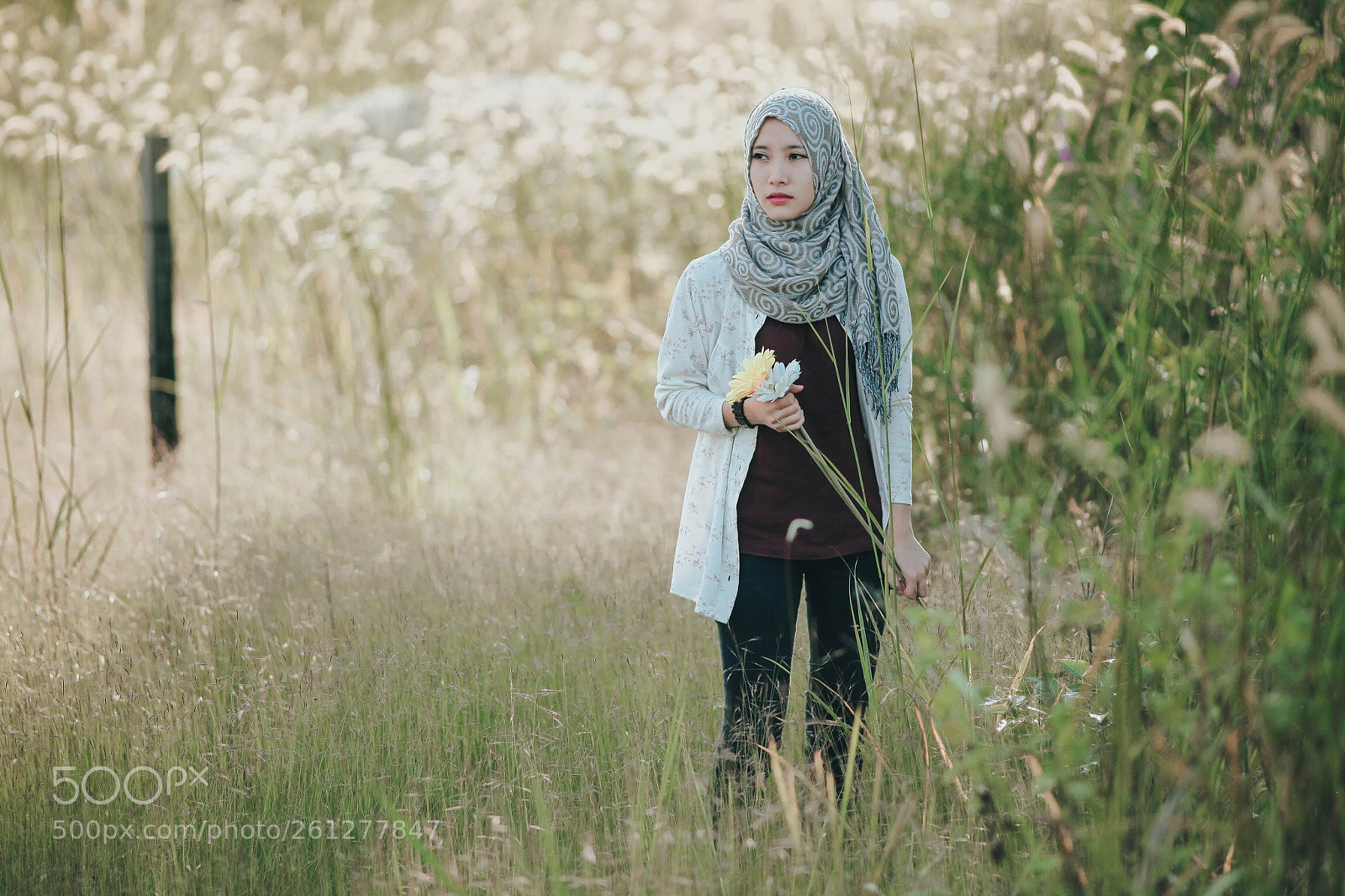 Canon EOS 5D Mark II sample photo. Untitled photography