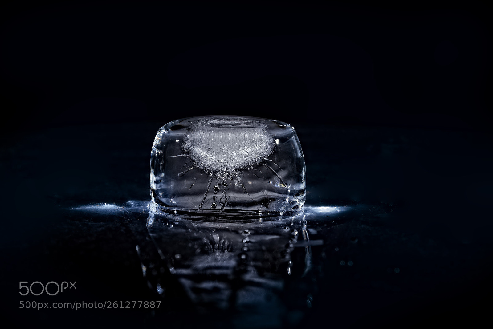 Nikon D750 sample photo. Melting ice photography