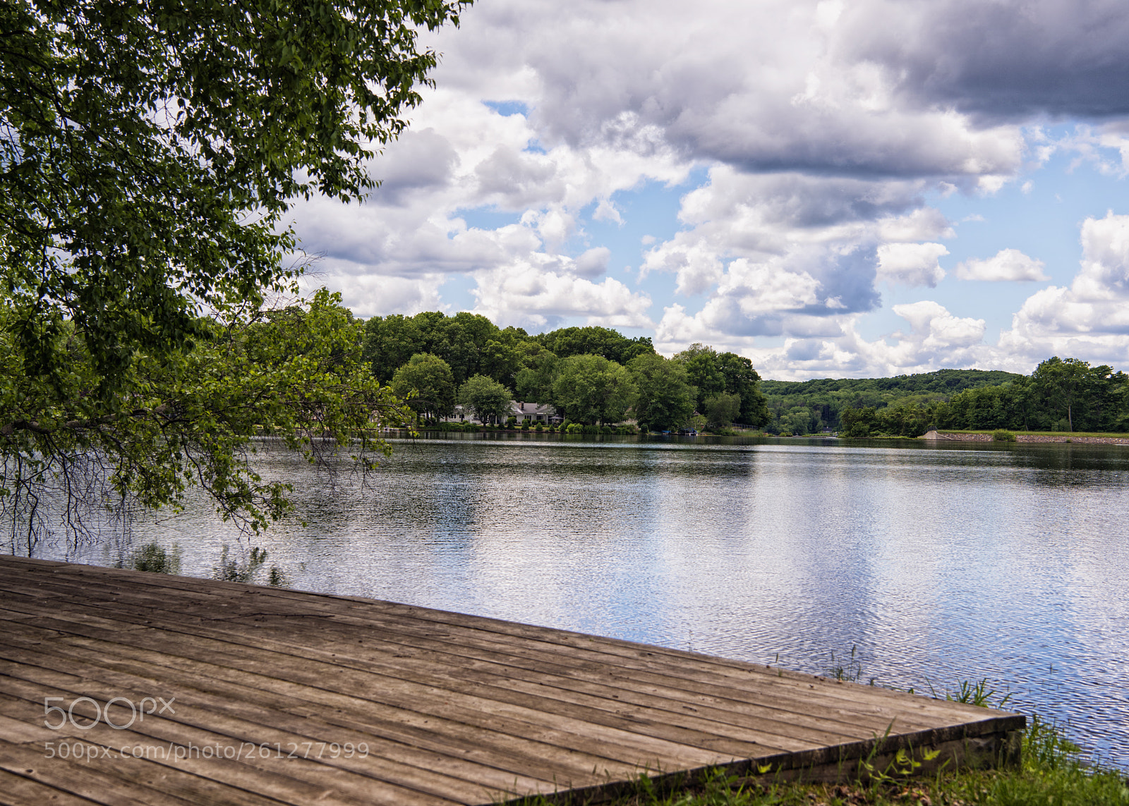 Nikon D810 sample photo. Dock sitting photography