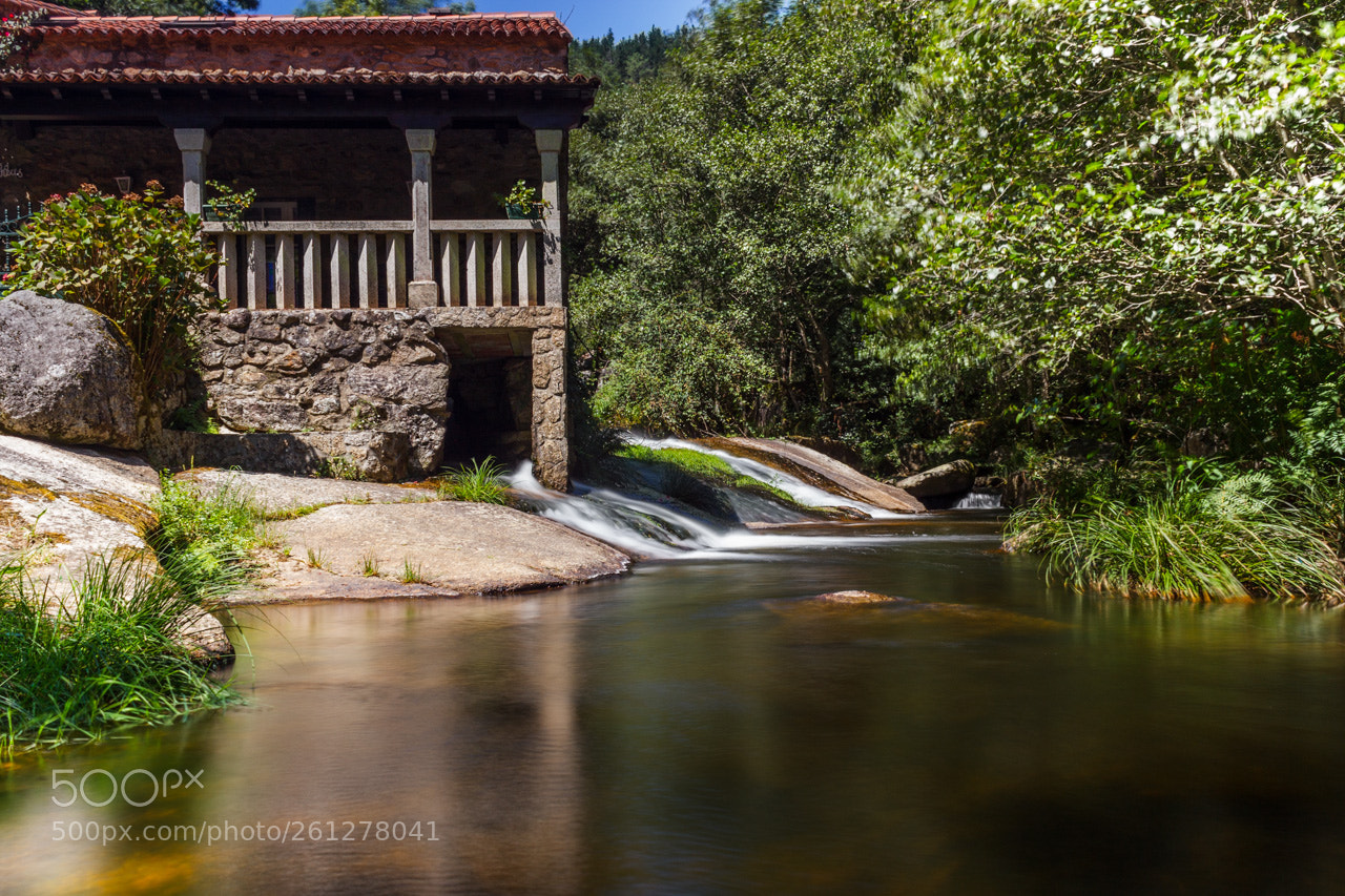 Canon EOS 600D (Rebel EOS T3i / EOS Kiss X5) sample photo. Molino rehabilitado photography