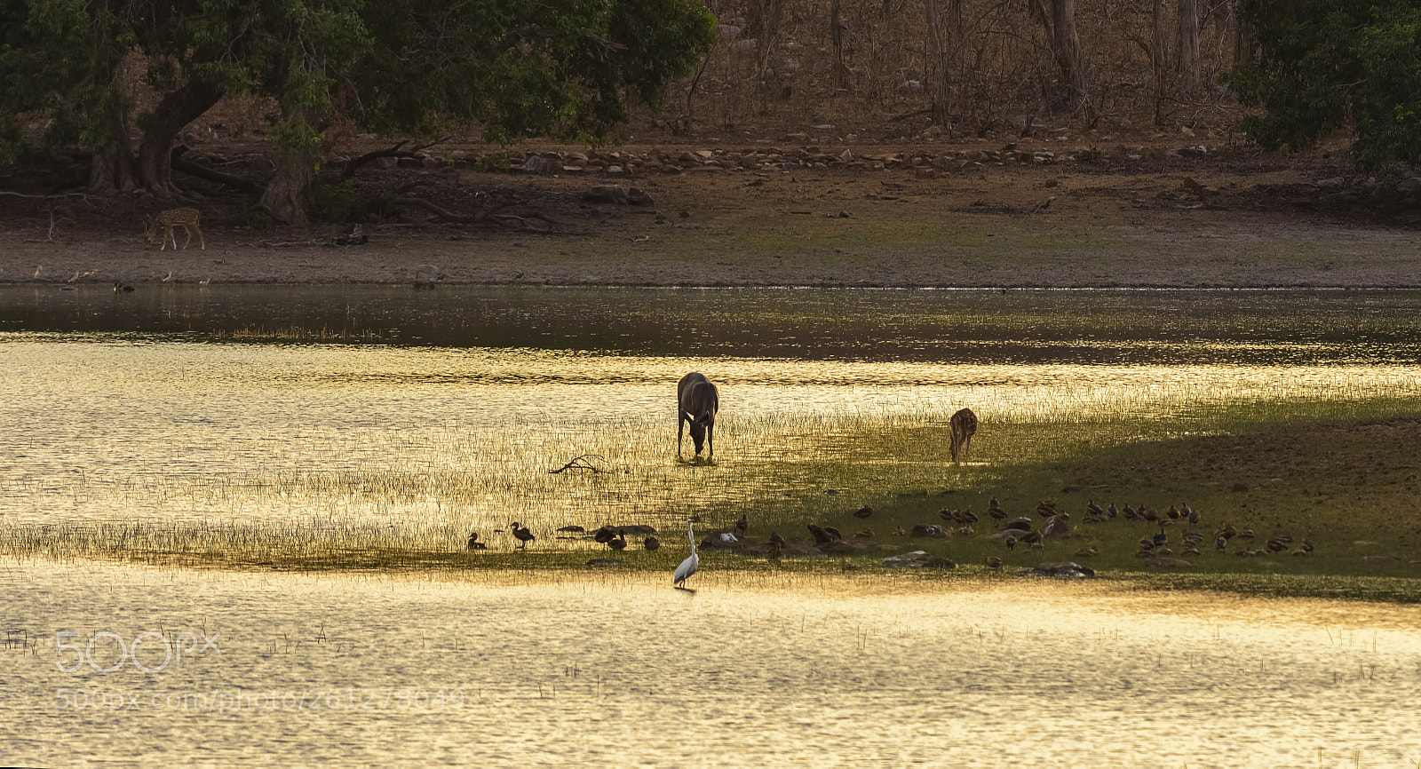Nikon D7200 sample photo. As the dusk spreads photography