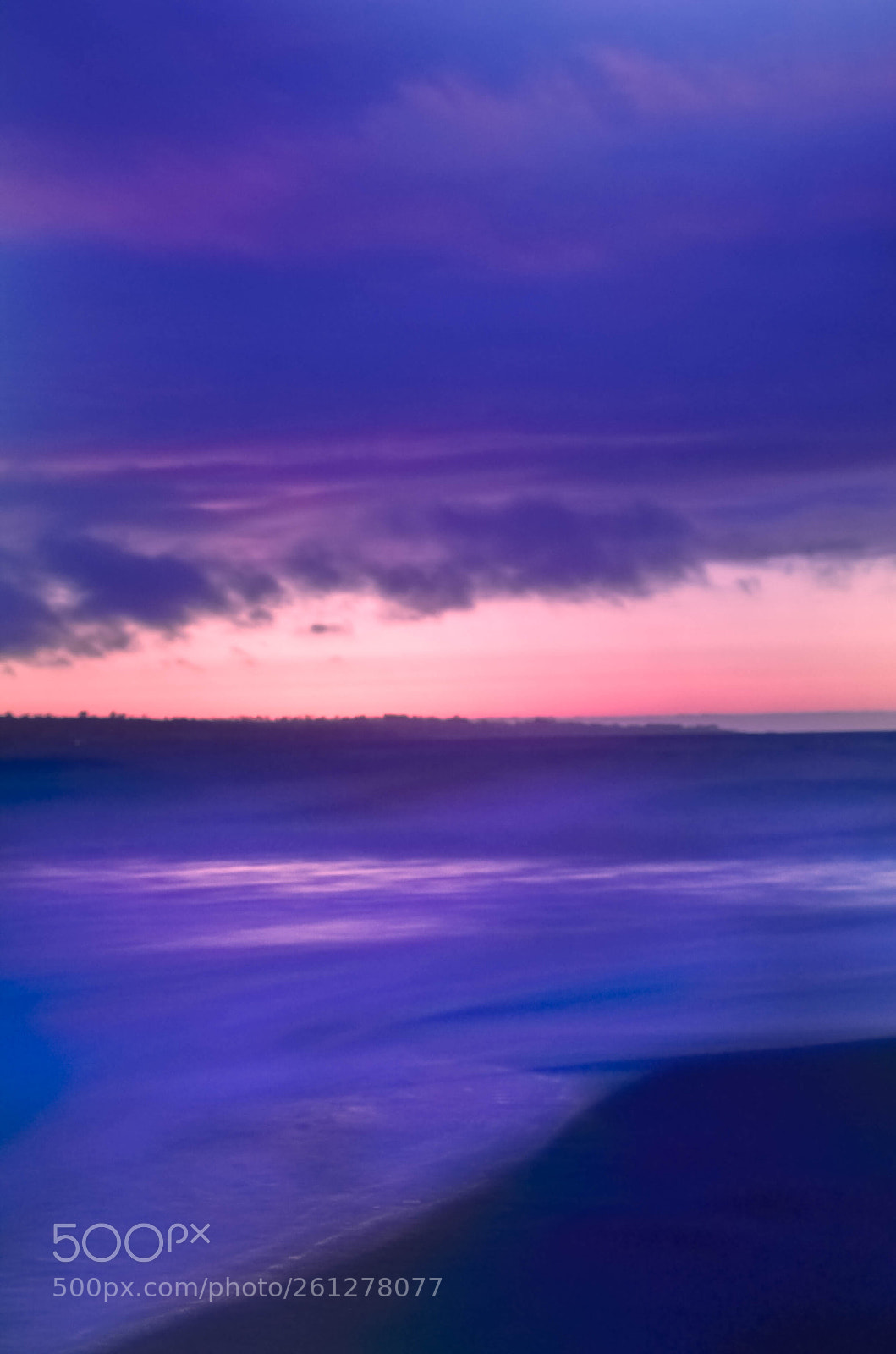 Nikon D5100 sample photo. Purple foam photography