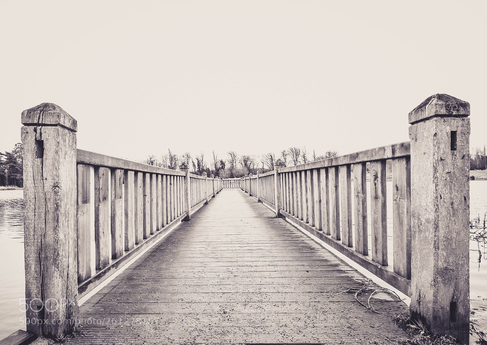 Nikon D3400 sample photo. Footbridge! photography