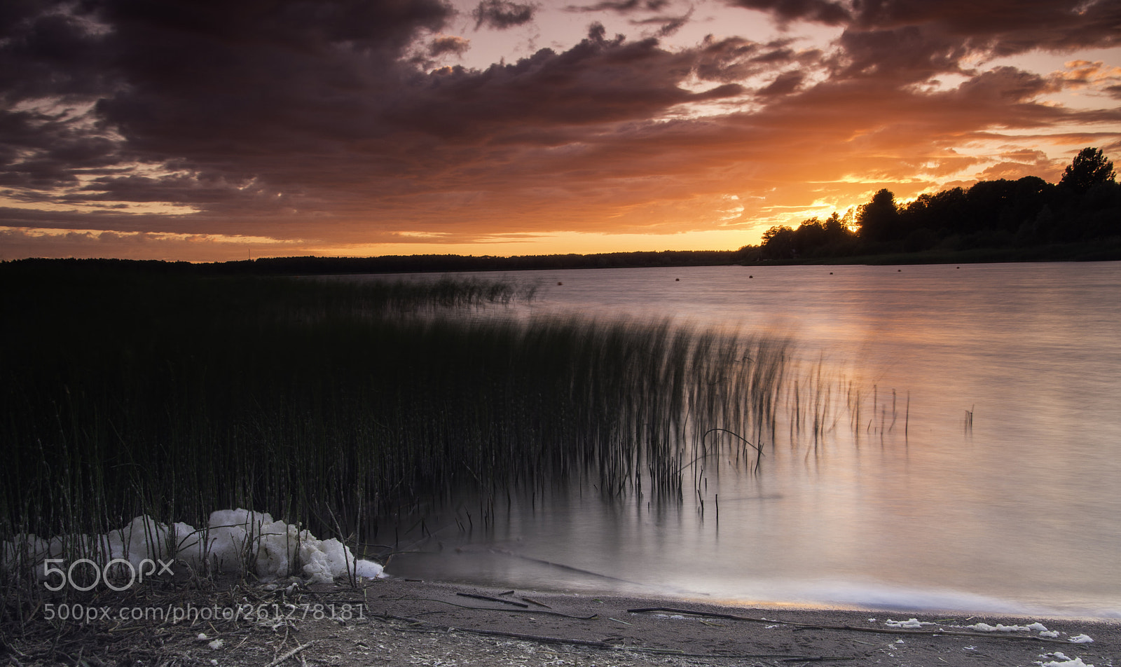 Nikon D7200 sample photo. Pink sunset. photography