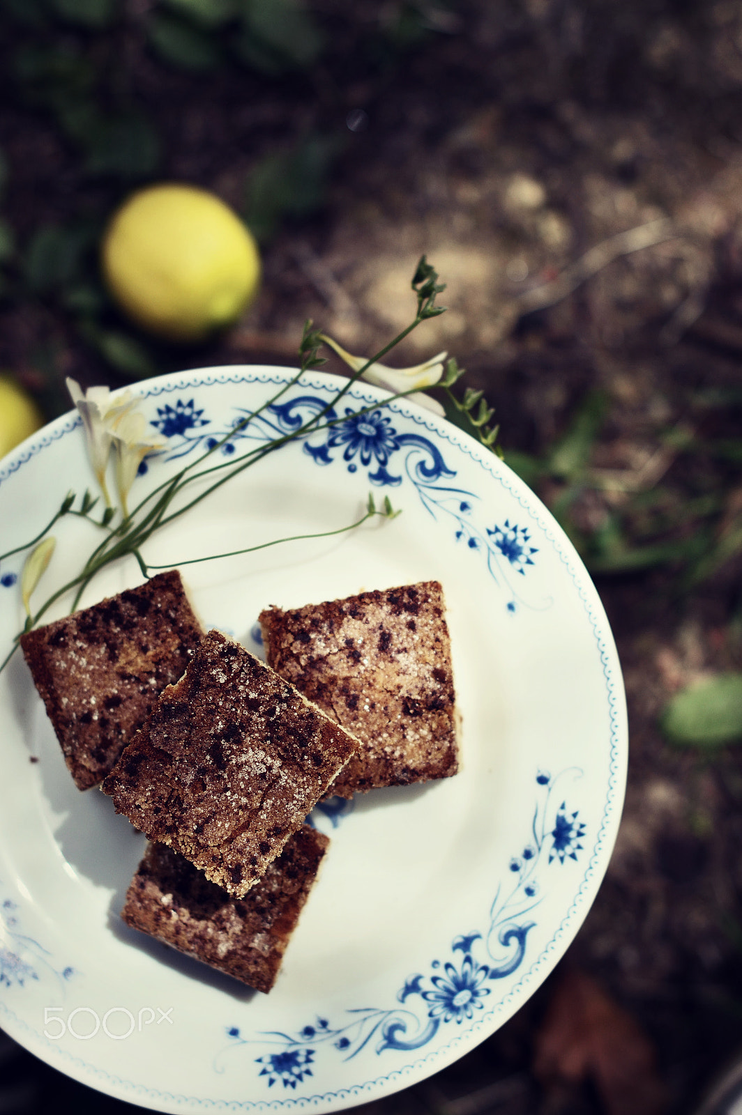 Nikon D3200 sample photo. Some pieces of cake photography