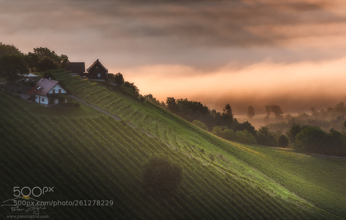 Nikon D810 sample photo. Morning hills photography
