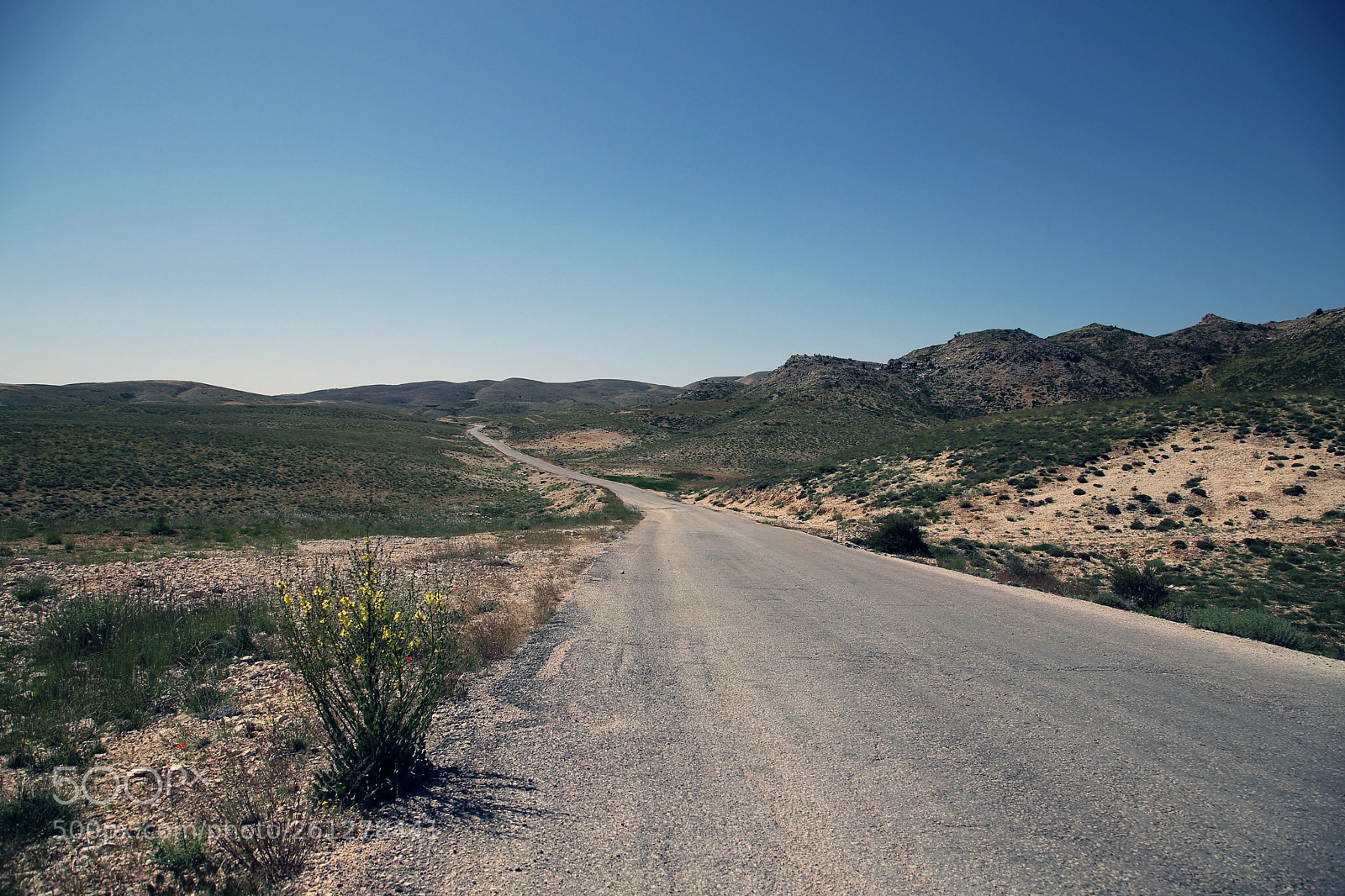 Canon EOS 6D sample photo. Lebanon - on the photography