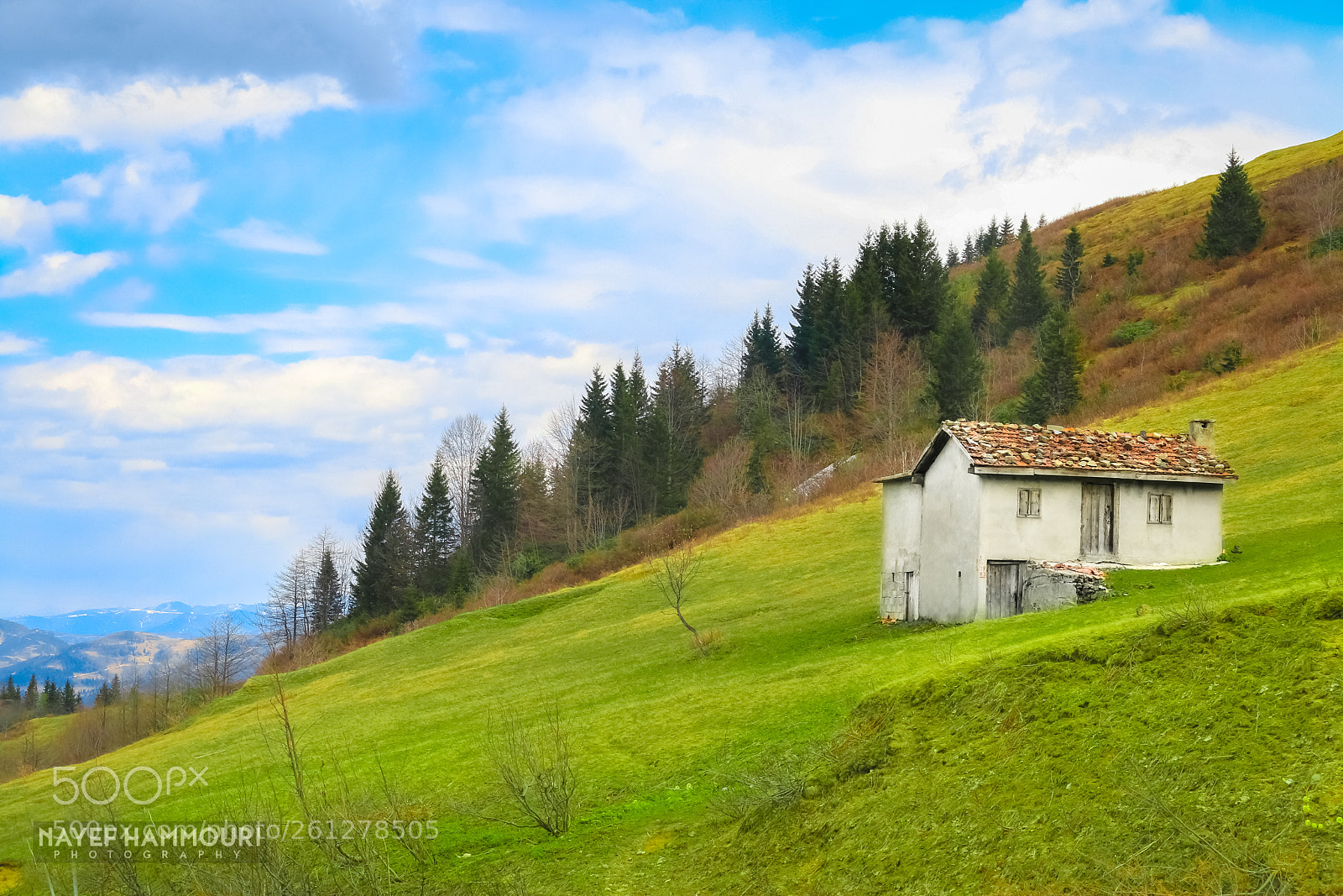 Canon EOS 70D sample photo. A house in sultan photography