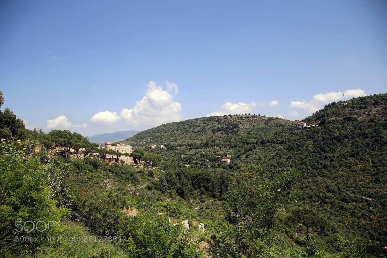 Canon EOS 6D sample photo. Lebanon - chouf cedars photography