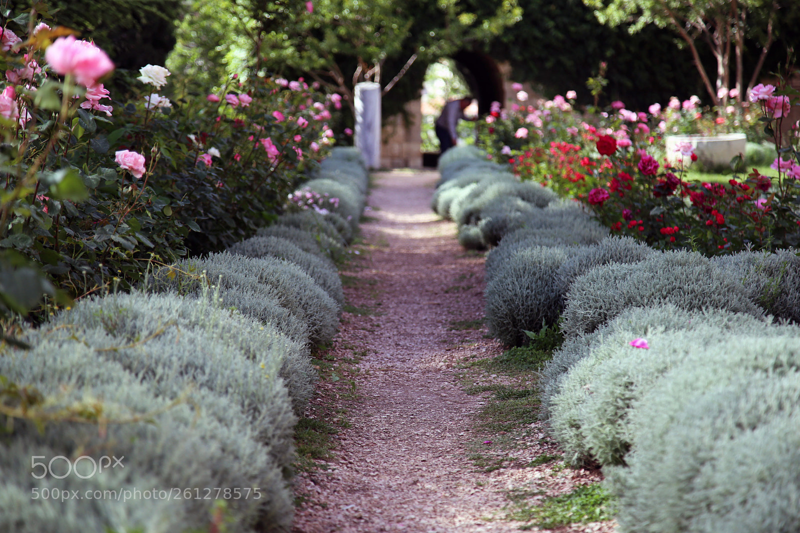 Canon EOS 6D sample photo. Lebanon -- beiteddine palace photography