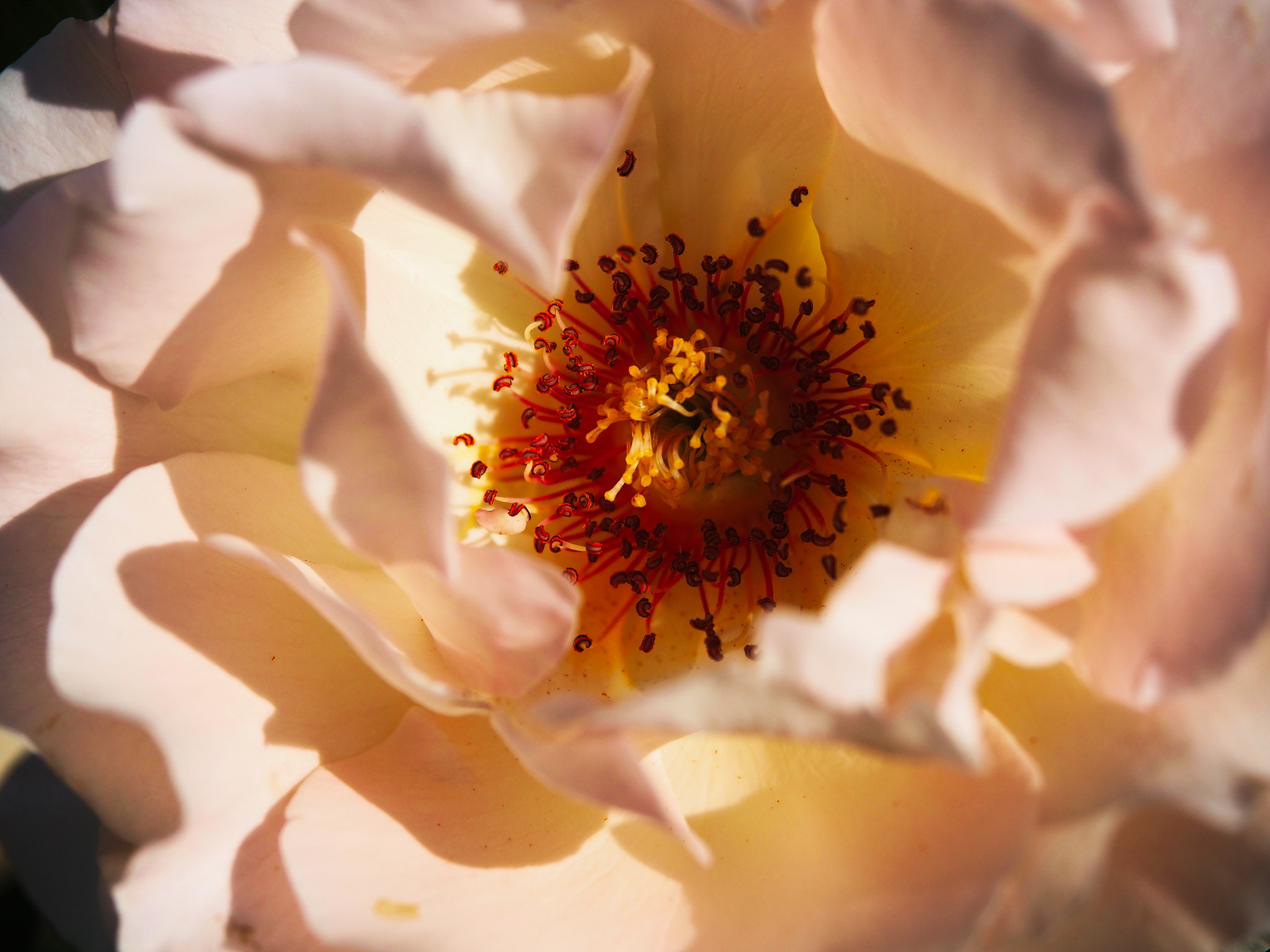 Olympus PEN E-PL5 sample photo. Encased photography