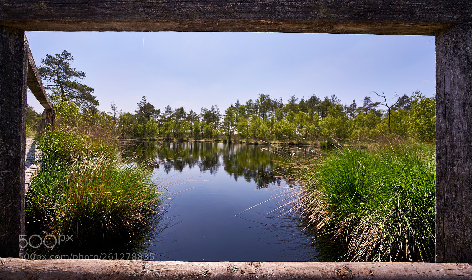 Sony a7R II sample photo. Framing photography