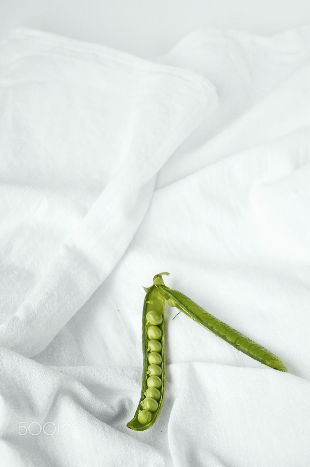 Nikon D3200 sample photo. A beautiful pea pod photography