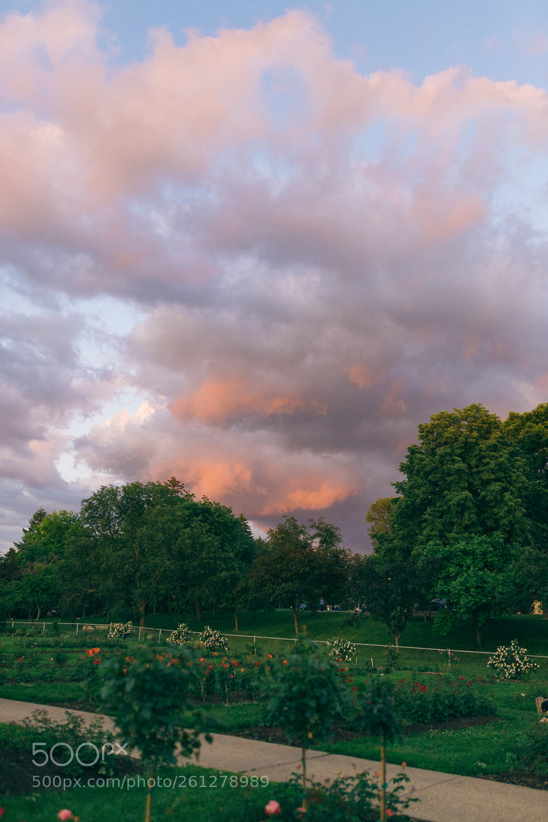 Canon EOS 6D Mark II sample photo. Skies and flowers photography