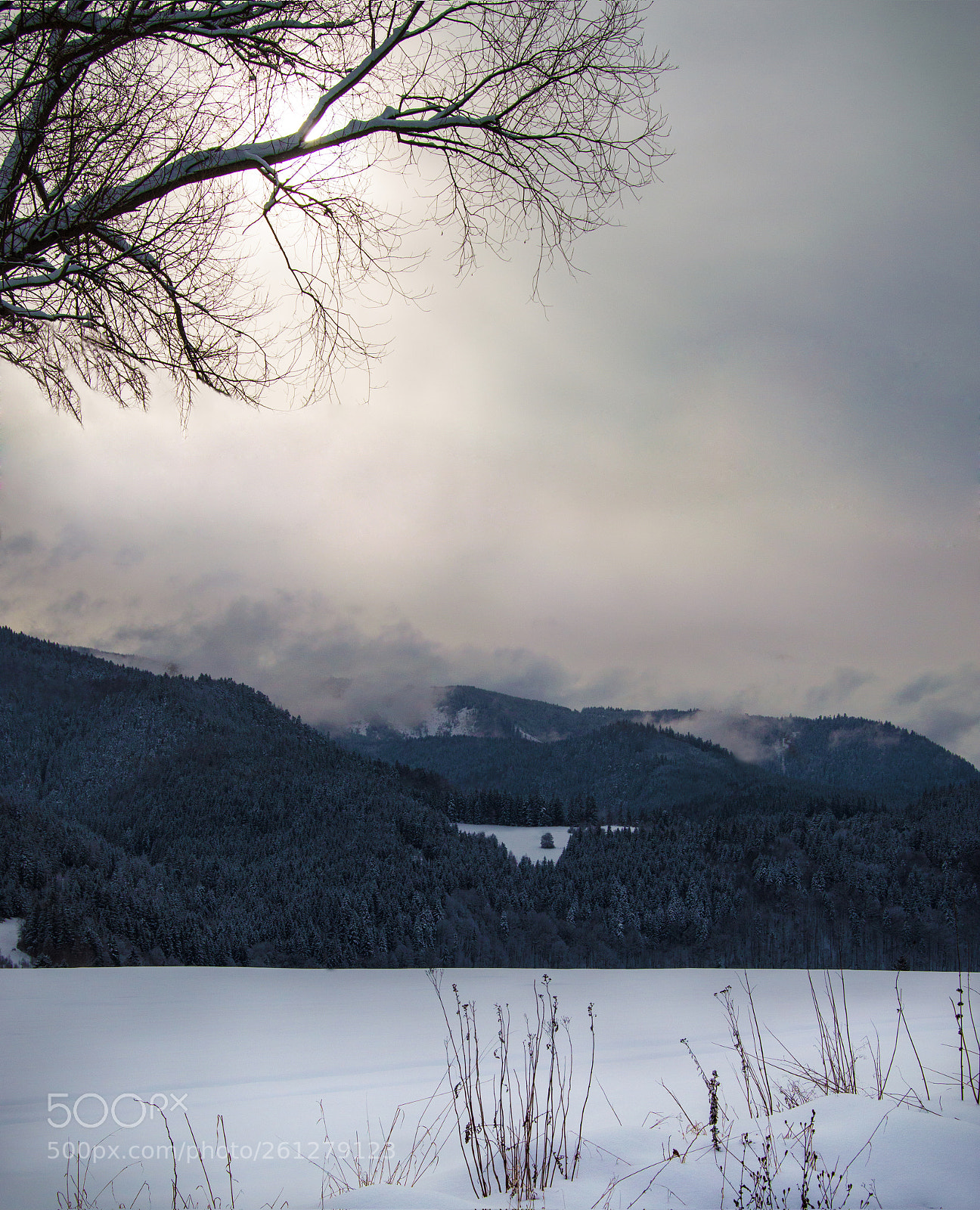 Nikon D3200 sample photo. Winter photography