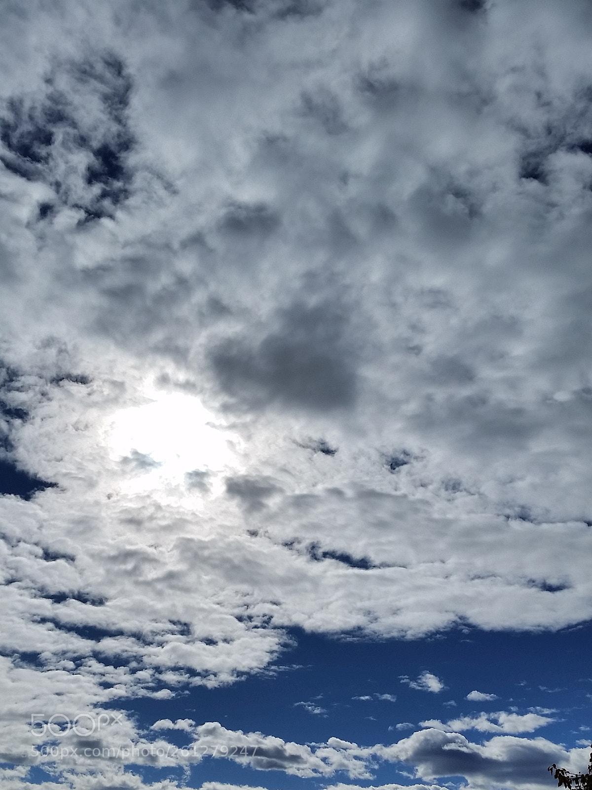 Samsung Galaxy S5 sample photo. Untitled photography