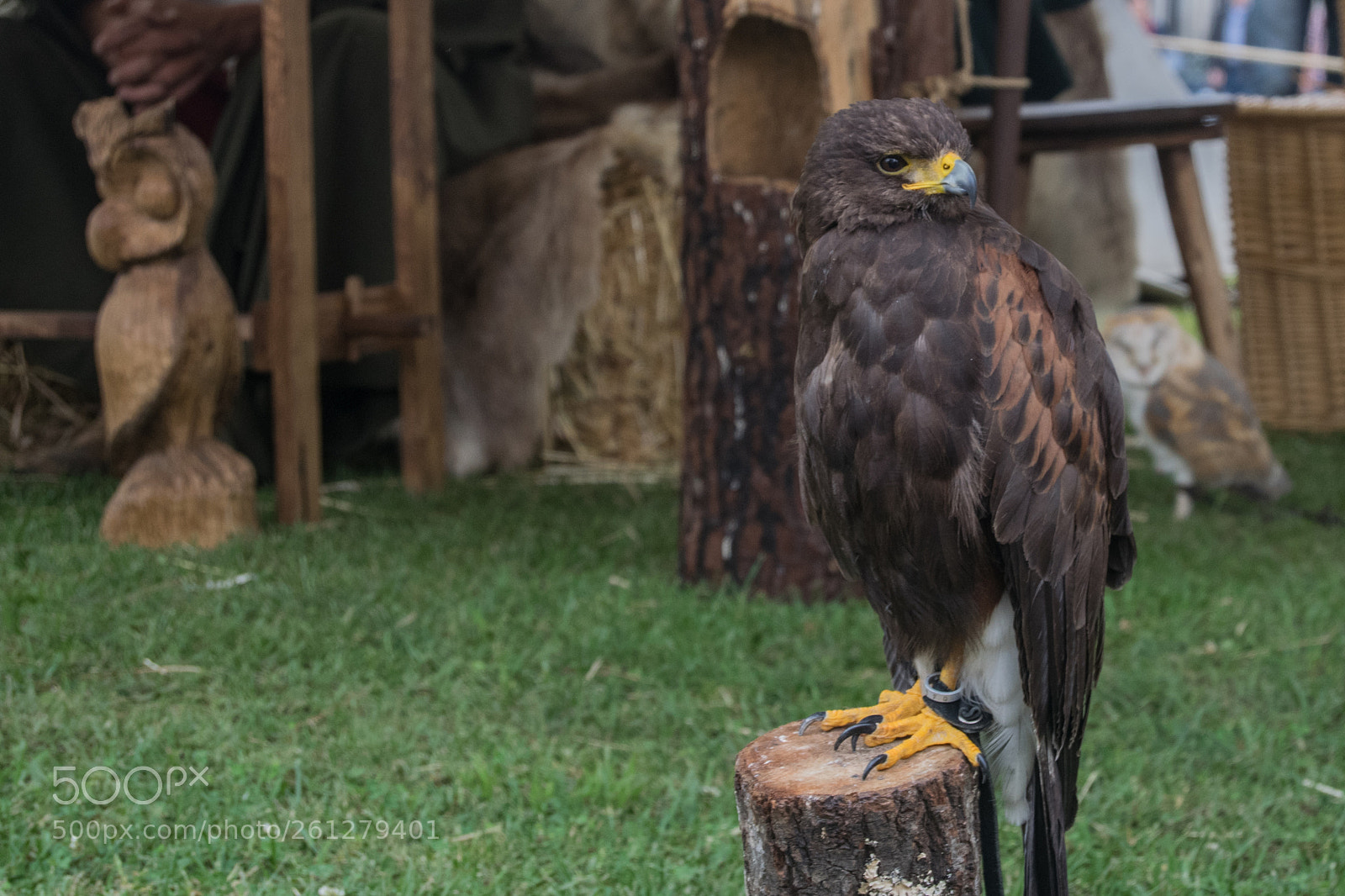 Nikon D3300 sample photo. Perfil photography