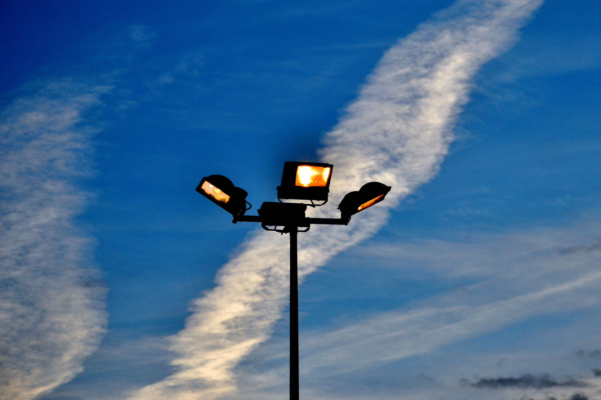 Nikon D3100 sample photo