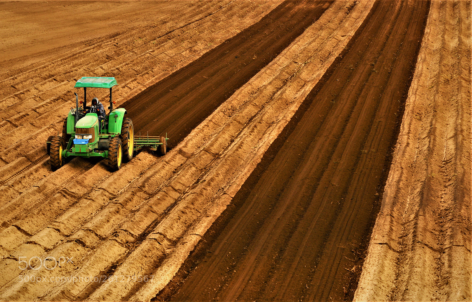 Canon EOS 70D sample photo. Sandy soil cultivation photography