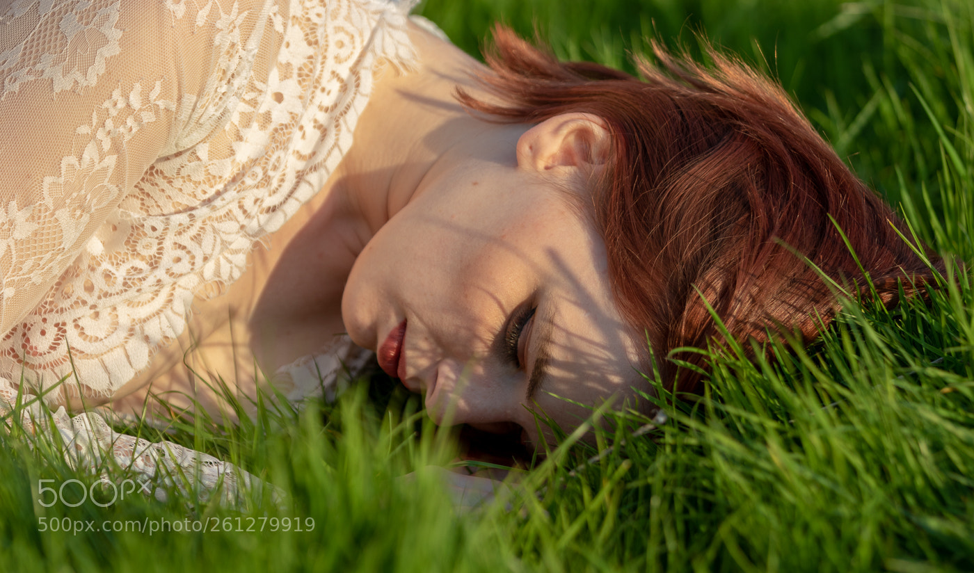 Canon EOS 7D Mark II sample photo. Stevewebb## ca photography