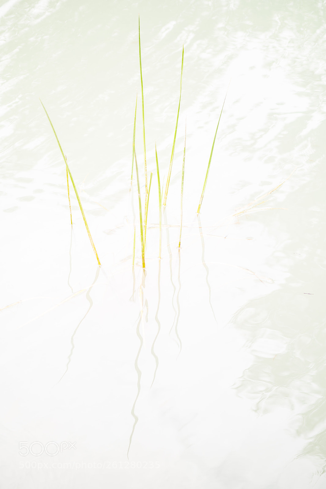 Panasonic Lumix DC-G9 sample photo. Abstract nature photography