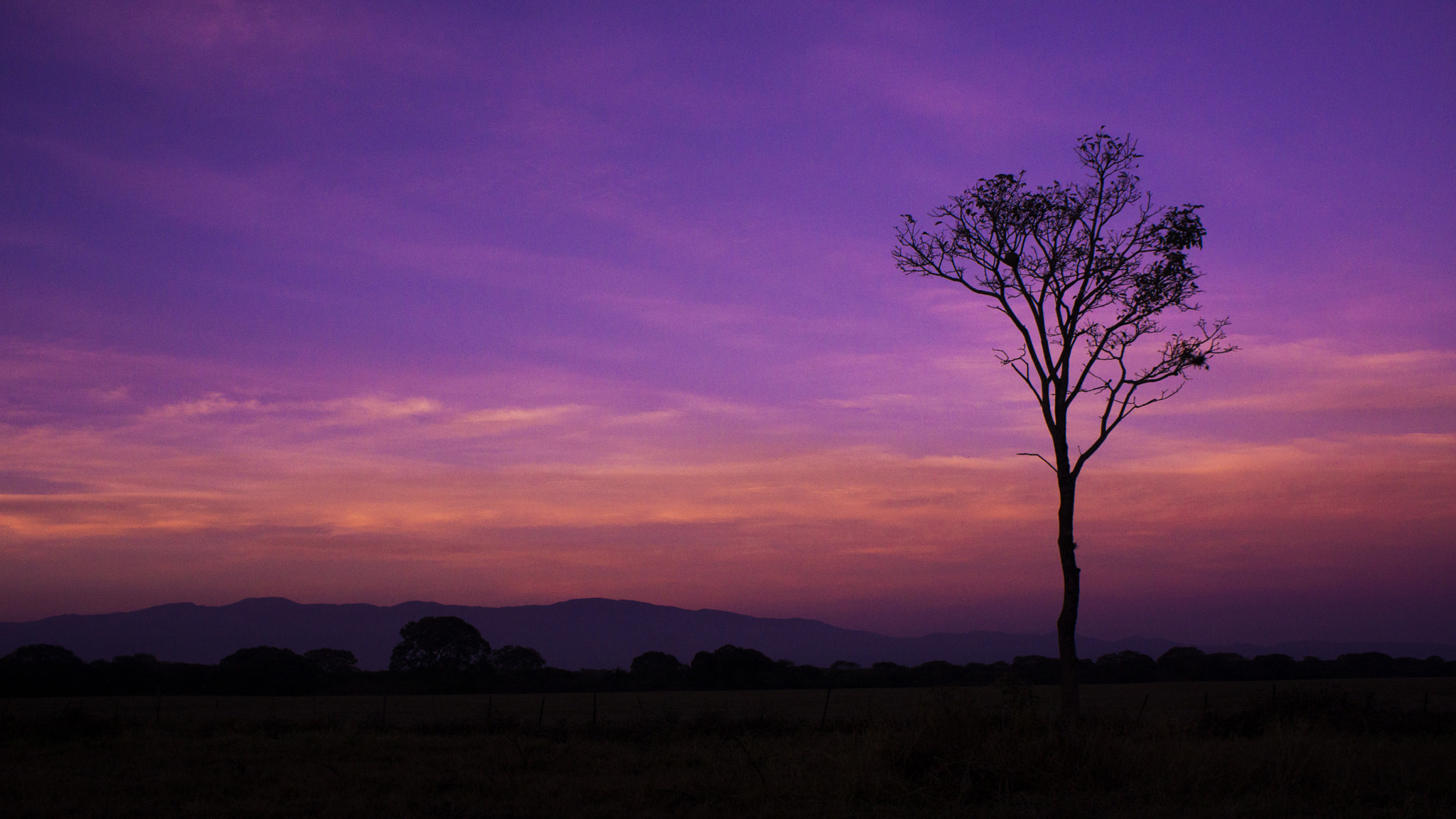 Sony Alpha NEX-7 sample photo. Atardecer en el carmen... photography