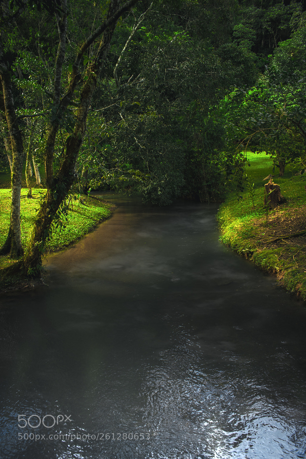 Nikon D5300 sample photo. Silent river photography