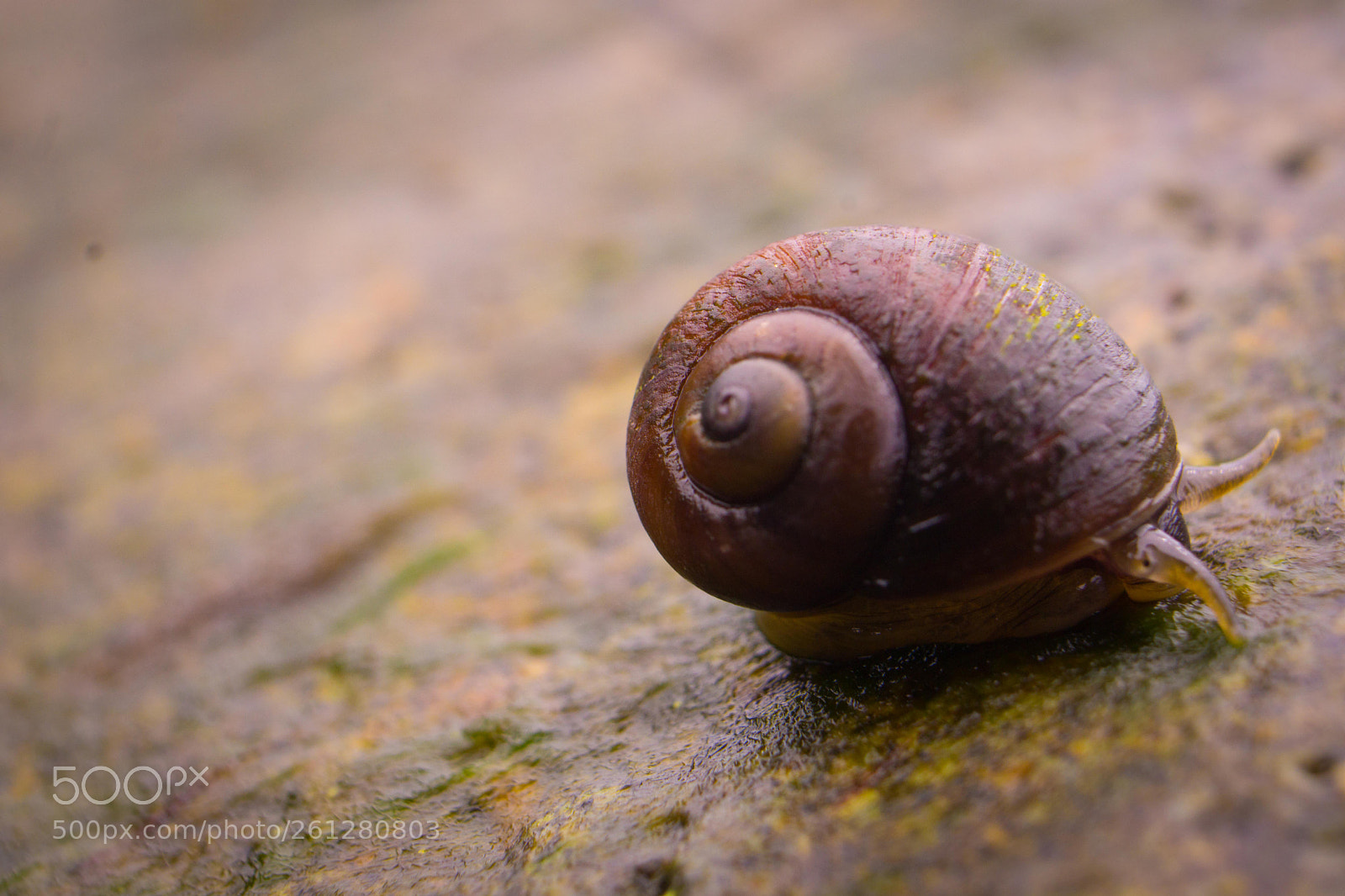 Sony a6000 sample photo. Small steps photography